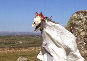 Photo d'une Mari Lwyd - personne déguisée selon la tradition galloise, enveloppée d'un drap blanc et portant un crâne de cheval